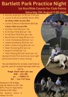 Club Night Rodeo (non Jackpot) 