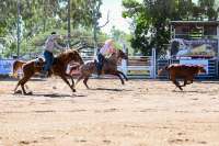 ATRA Roping 
