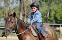 Horse Sports 